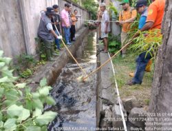 Warga Jalan ujung pandang dikejutkan dengan kemunculan buaya masuk parit