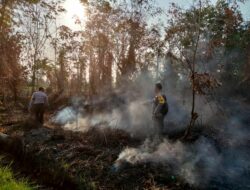 Besarnya Ancaman Kerusakan Ekosistem hayati serta Kebakaran Hutan dan lahan Gambut membuat Kepolisian Gencar lakukan Sosialisasi di setiap Daerahdi kalbar Guna mencegah warga agar tidak membakar lahan