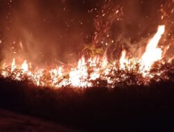 Adapa kebakaran hutan dan lahan gambut di kalbar setiap tahunya,masyarakat kecil selalu jadi kambing hitam.