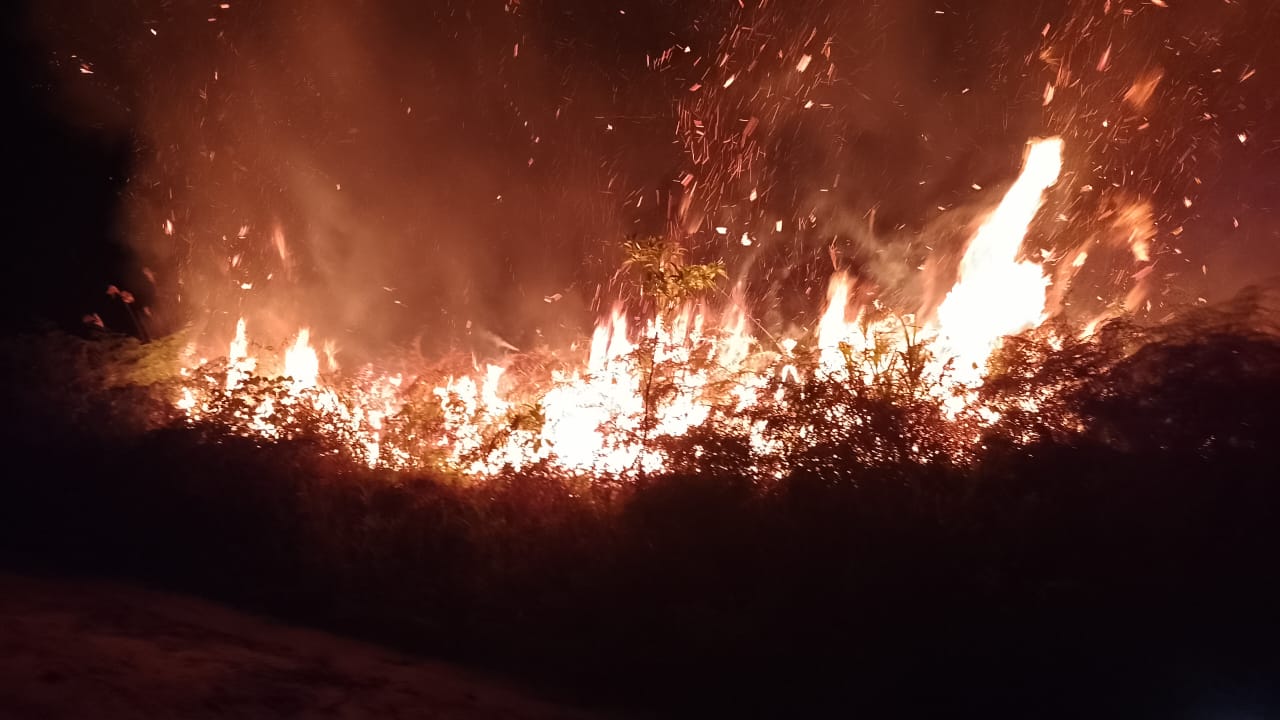 Kebakaran hutan dan lahan di Kalbar hingga saat ini api masih menyala