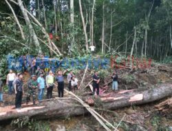 Bupati Simalungun dan Kapolres Tinjau Longsor di Nagori Durian Banggal.