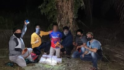Upaya Penyelundupan 11 Kilogram Sabu di Perbatasan Kodam XII/Tanjungpura lumpuhkan tersangka di pohon sawit