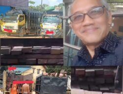 Pelaku Ilegal Logging Bagai Membius APH Hingga Pelaku Semakin Gemoy