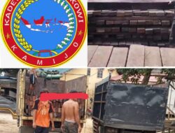 Viralnya Berita Soal Ilegal Logging Dan Permintaan Pengamat Tak di Gubris APH Hingga DPP KAMIJO Angkat Suara Minta Presiden Turun Tanggan