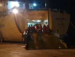 Bongkar Muat di Pelabuhan Umum Dwikora Ratusan Ekor Babi Mati Datang dari Bali