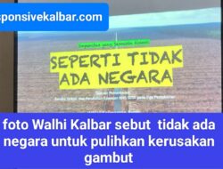 Walhi Kalbar sebut seperti tidak ada negara untuk pulihkan kerusakan gambut,