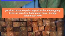 Kayu punya dukumen terbang