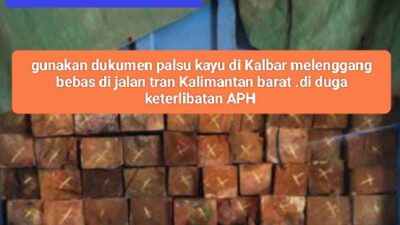 Tebal dompet Pemilik kayu di Putussibau Penggunaan Dokumen terbang atau Dukumen Palsu Ada kedipan mata APH