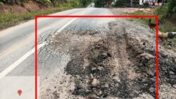 Seson foto di ambil timred dipangan