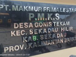 Terkuak PT Makmur Prima Lestari (MPL) Bangun PKS Tanpa Kebun Sawit
