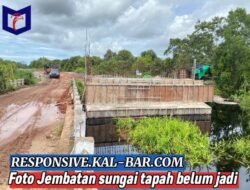 Pagu 4,8 miliyar itu bukan hanya untuk pembangunan balok abutment, timbunan dan pemasangan batu kali saja, namun mencakup
