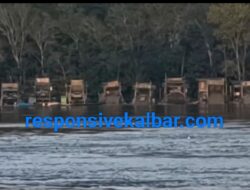 Puluhan set mesin di sungai Kapuas di duga ada Aktivitas PETI Marak di Seberang Kota Kecamatan Sepauk