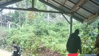 Viral Kejadian Oknum Guru Aniaya Murid di SMP Negri Pinoh Selatan