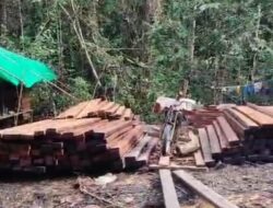 Kepala UPT KPH Kubu Raya Akan Mengeluarkan Surat Secara Dinas Panggilan Supir dan Pemilik BB