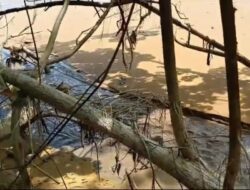 Pembuangan Limbah ke Laut Diduga Tanpa Izin, PT. DIB dan DLH Kalbar Pilih membisu dan pura”tuli .