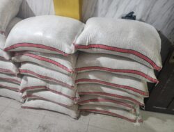 Diduga beras SPHP yang telah dicampur dengan beras menir dari pulau Jawa (Oplosan)