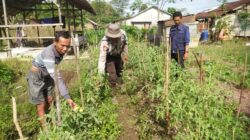 Foto anggota polres Kayong Utara
