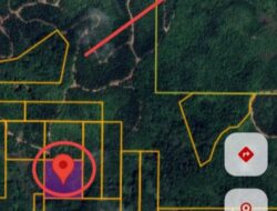 PT. Borneo Ketapang Permai Diduga Lakukan Perampasan Tanah Warga di Beduai