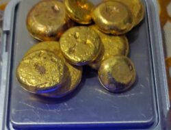 PETI Cemari Lingkungan dan Rugikan Negara, Dugaan Perlindungan Oknum APH Mencuat