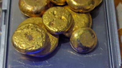 PETI Cemari Lingkungan dan Rugikan Negara, Dugaan Perlindungan Oknum APH Mencuat