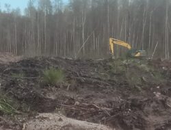 Jurnalis Dipukul Saat Liputan PETI di Ketapang, Aktivis Desak Aparat Bertindak Tegas