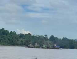 Tampak Lanting PETI berjejer Rapi dari Desa Masam Sampai Nanga Kayan.