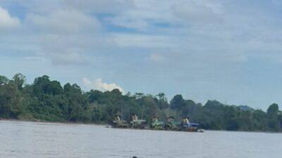 Tampak Lanting PETI berjejer Rapi dari Desa Masam Sampai Nanga Kayan.