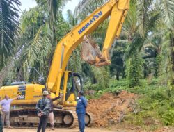 KPH Ketapang Resmi Menyegal PT Agro Lestari Mandiri Karena Diduga Garap Hutan Lindung
