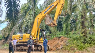 KPH Ketapang Resmi Menyegal PT Agro Lestari Mandiri Karena Diduga Garap Hutan Lindung