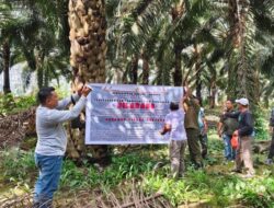 Di Balik Sawit Sinar Mas: Dugaan Penjarahan Hutan Lindung di Kalimantan Barat