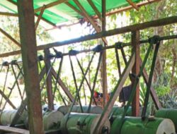 Dugaan Pencucian Uang dan Perusakan Ekosistem: Tambang Emas Ilegal Hulu Sungai dan Sandai Perlu Operasi Gabungan