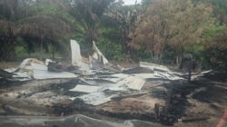 IMG-20250711-WA0005(1)