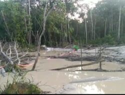 Liput Tambang Ilegal, Wartawan Dianiaya dan Diintimidasi: Ada Dugaan Suap Rp2 Juta