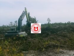 Padang Kuning Jadi Kerajaan Emas Ilegal: Excavator Merajalela, Pemerintah Diduga Jadi Penonton Berbayar