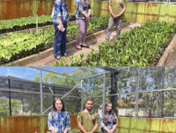 Aston Ketapang Kembali Siapkan Penanaman Mangrove Menjelang Ulang Tahun ke-17