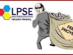 Kelola 13 Paket PL Sekaligus, Kabag LPSE Ketapang,Menyalahi Aturan