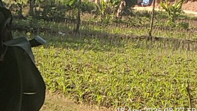 Agus Santoso, Siska, dan Mantan Kades Disebut di Balik Tambang Ilegal Tuban, Publik Pertanyakan Aparat