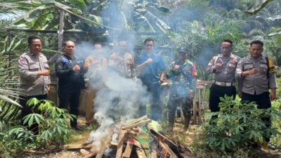 Polsek Tumbang Titi Grebek Arena Judi Sabung Ayam di Pemahan, Pelaku Kabur Tinggalkan Lapak