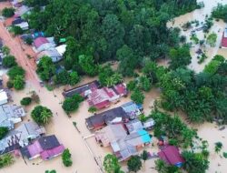 Menipisnya hutan hujan tropis Ketapang, terpantau banjir tiap tahun pertambangan merajarela dengan dalih kepentingan masyarakat.