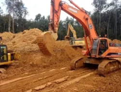 KEMENTERIAN ENERGI DAN SUMBER DAYA MINERALREPUBLIK INDONESIA DIREKTORAT JENDERAL MINERAL DAN BATUBARA.