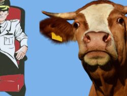 Dugaan Pengadaan Ternak Fiktif Kabupaten Melawi Rp 21 M Ditangani Polda Kalbar