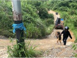 AKSES TERPUTUS:Jembatan Menuju Punti Tapau,Desa Nakan, Kecamatan Entikong Rusak Parah