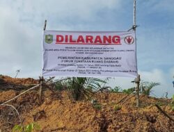 PT.CUT telah melanggar Peraturan Tata ruang dan illegal karena tanpa ijin dari pemerintah.
