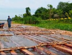 5 Pelaku Kayu Ilegal Diamankan, Industri Penampung Negeri baru Disegel