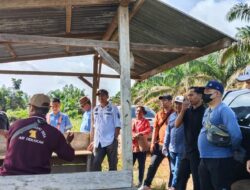 Warga Lembah Mukti Ketapang Tuntut Penyelesaian Sengketa Lahan dengan PT MAI, BPN Belum Umumkan Hasil Pengukuran