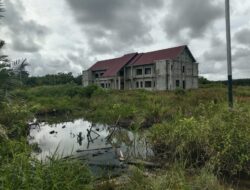 Pembangunan Gedung di Kawasan Hutan Telan Rp4,8 Miliar APBD, DI Gunakan untuk apa ?