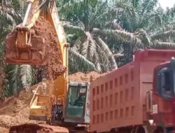 Konsesi Sawit Jadi,tempat Tambang Bauksit Ketapang Disorot, Ahli Hukum Nilai Ada dugaan Tumpang Tindih Izin