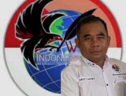 Mustakim Ketua IWO I DPD Ketapang Pertanyakan Penanganan 364 Tenaga Kerja WNA Ilegal di PT.SZCI dan PT.BAP