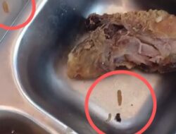 Kunjungan Kepala BGN Ke Kalbar Disambut Temuan ayam ada Ulatnya Dalam Hidangan Menu Makanan MBG