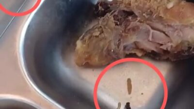 Kunjungan Kepala BGN Ke Kalbar Disambut Temuan ayam ada Ulatnya Dalam Hidangan Menu Makanan MBG
